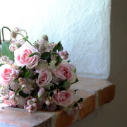 Rosa 2