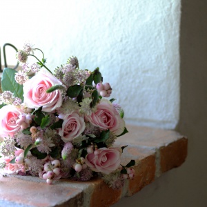 Rosa 2