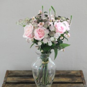 Rosa 4